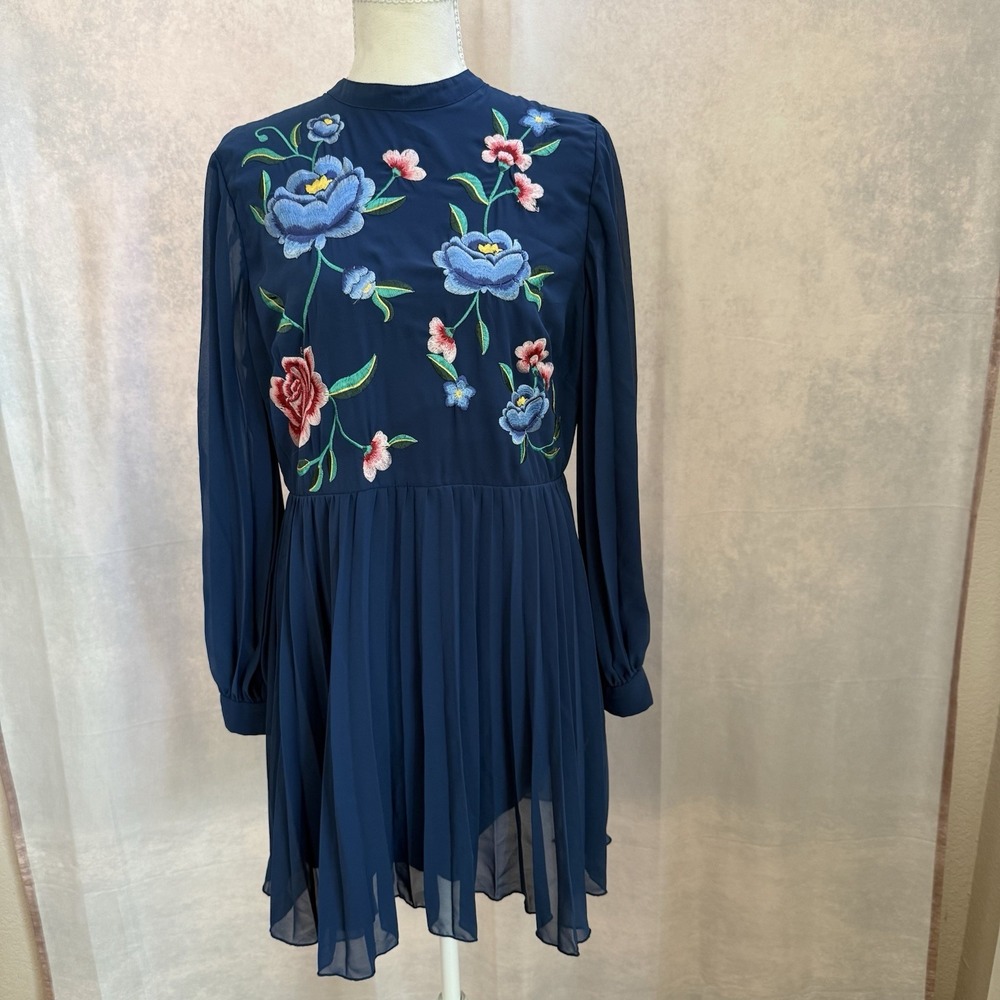 ASOS Design 10P Blue Floral Embroidered Pleated Chiffon Mini Dress‎  Sheer L/S